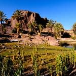 Oasis du sur Alteliers du chef hicham Aouad